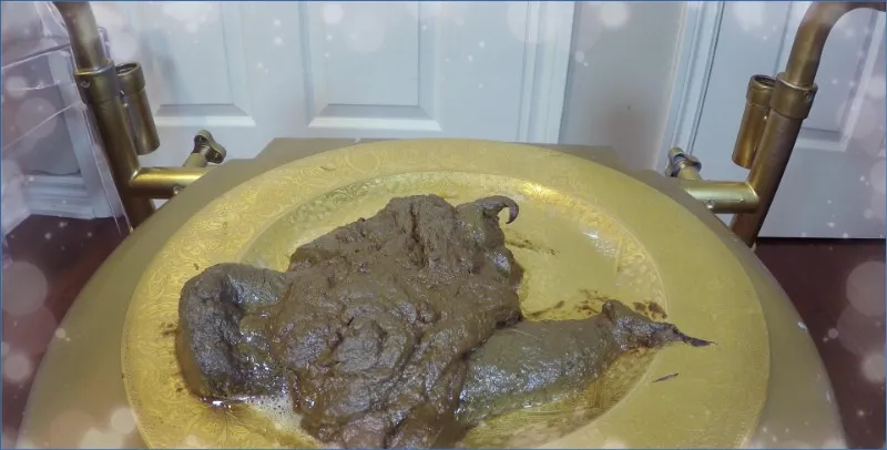 Love Rachelle dwingt haar toiletslaaf scat uit haar godinnenkon te eten - scat video op OranjeScat