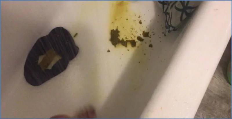 Missellie smeert haar scat uit en drinkt haar eigen gouden regen - scat video op OranjeScat