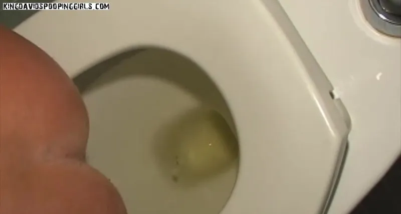 Alina en Jessi vullen het vieze toilethokje - scat video op OranjeScat