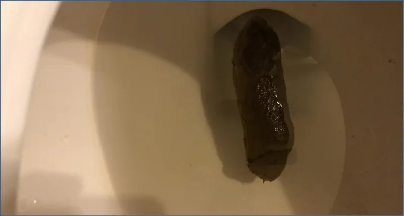 Tina Amazon perst verstopte dikke ontlasting uit op het toilet downloaden op OranjeScat