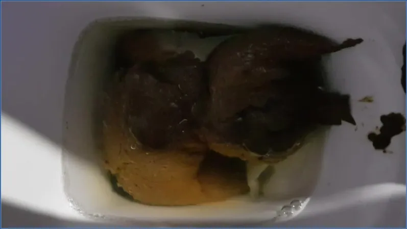 Thefartbabes serveert haar kerstontlasting rechtstreeks in de mond - scat video op OranjeScat